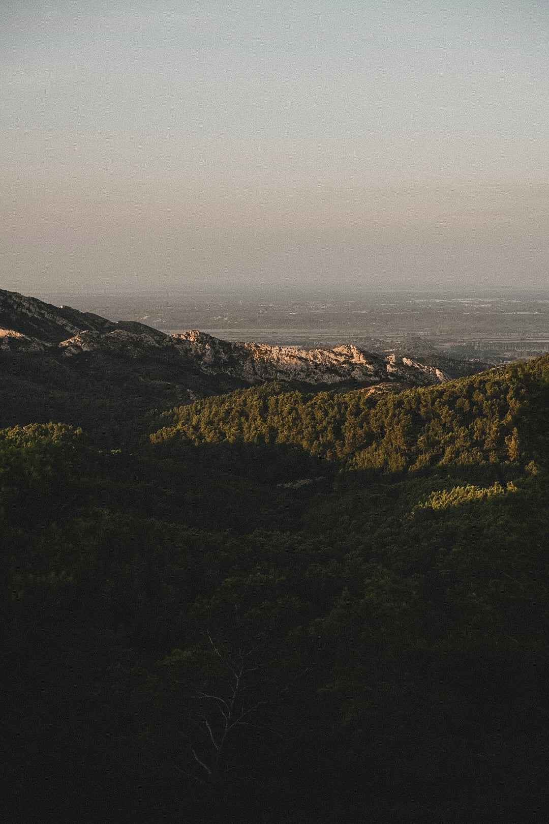 Luberon, treize ('24)